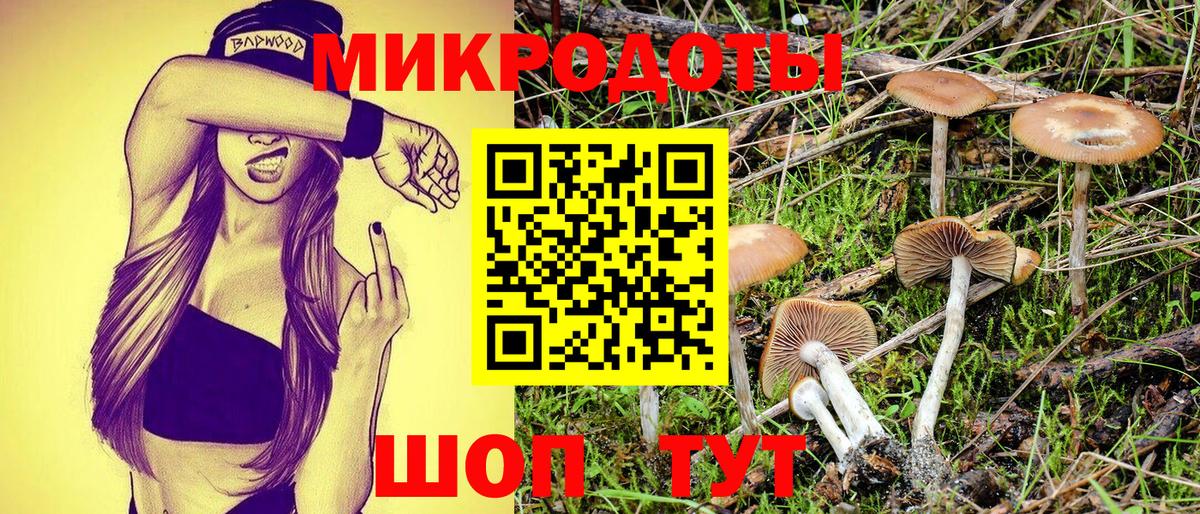 Псилоцибиновые грибы GOLDEN TEACHER Нарьян-Мар