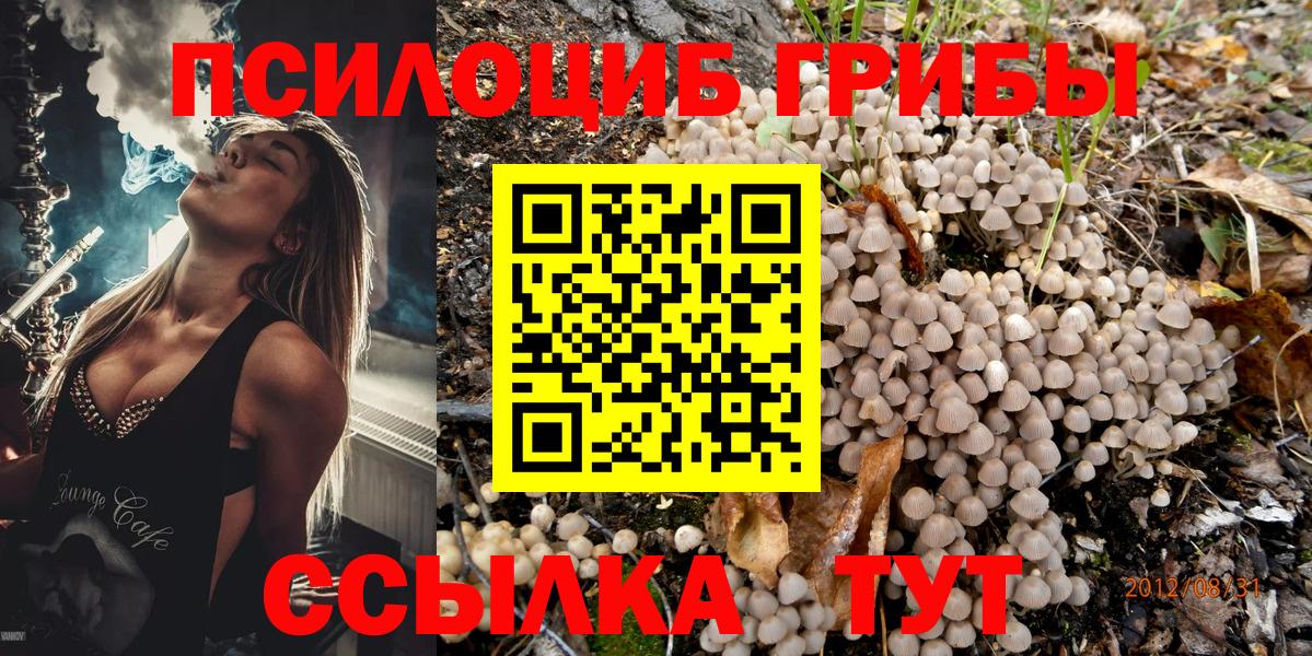 Псилоцибиновые грибы ЛСД  Нарьян-Мар  Псилоцибиновые грибы Magic Shrooms 